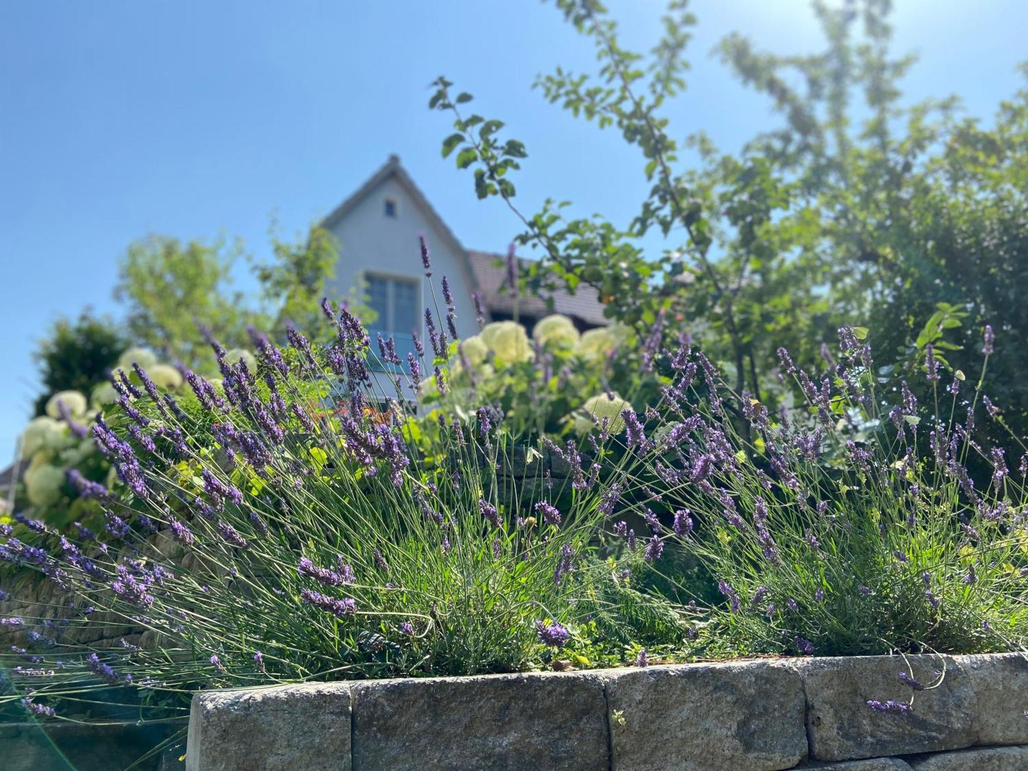 Romantik Idyll Am Tiefental Konigsbruck Εξωτερικό φωτογραφία