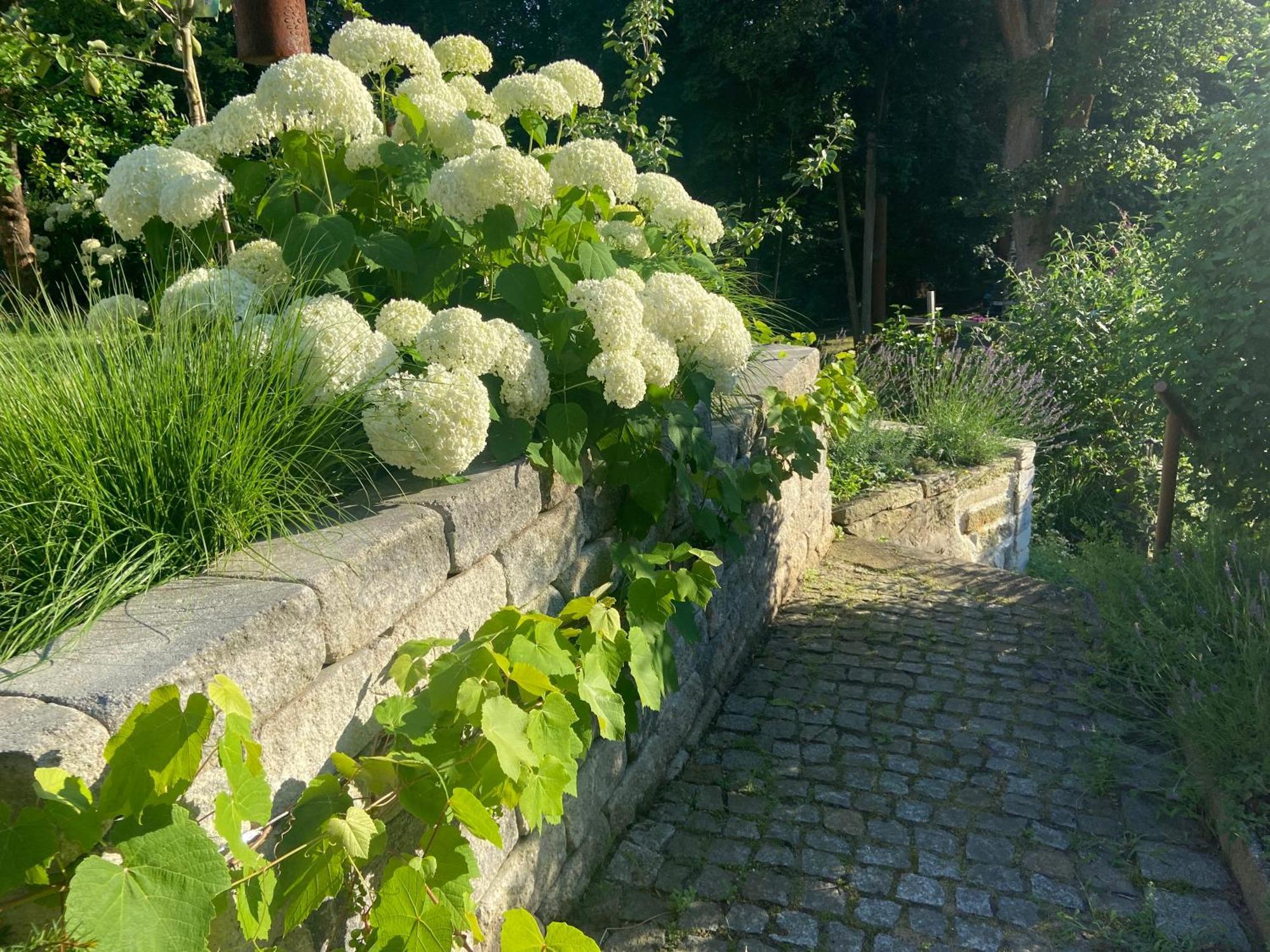 Romantik Idyll Am Tiefental Konigsbruck Εξωτερικό φωτογραφία