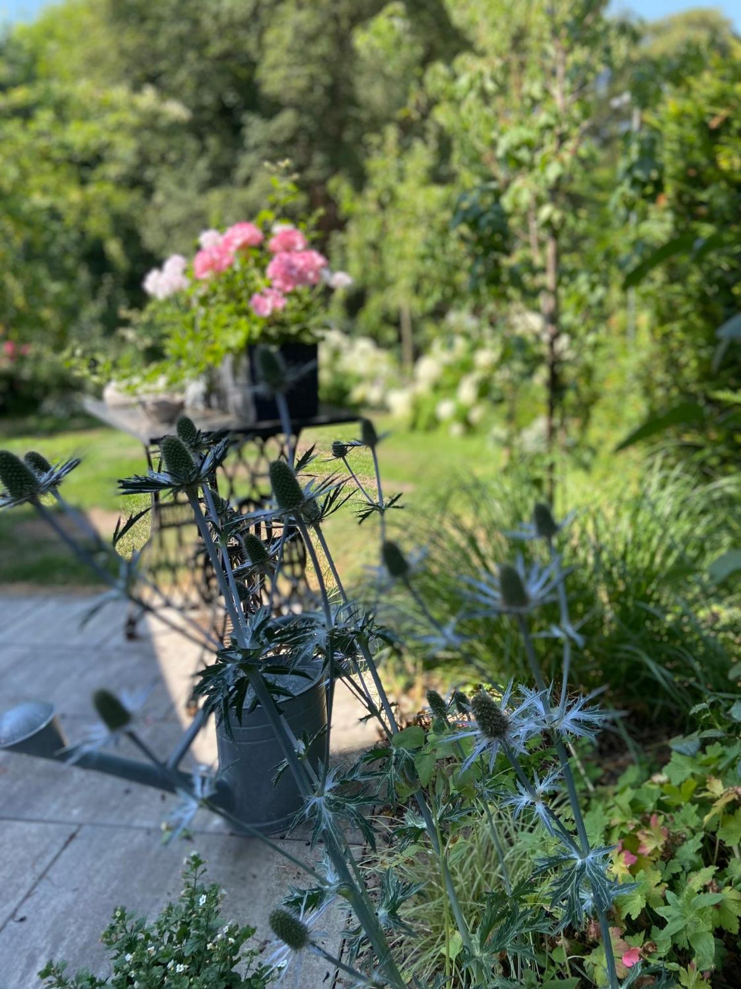 Romantik Idyll Am Tiefental Konigsbruck Εξωτερικό φωτογραφία